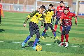 内师大呼民院篮球赛事